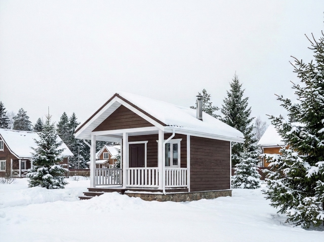 Брусника-16